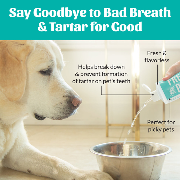 Skout’s Honor Fresher Breath Water Additive (16oz) - Pet Oral Care Supplies 4