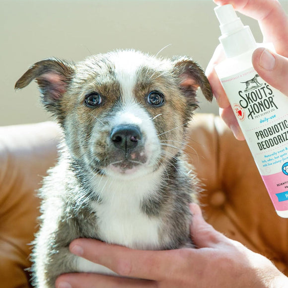 Skout’s Honor Happy Puppy Probiotic Daily Use Dog Deodorizing Spray 8-oz - Pet Fragrances & Deodorizing Sprays 7