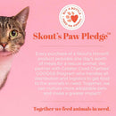 Skout's Honor Severe Mess Solution Cat Stain & Odor Cleaner