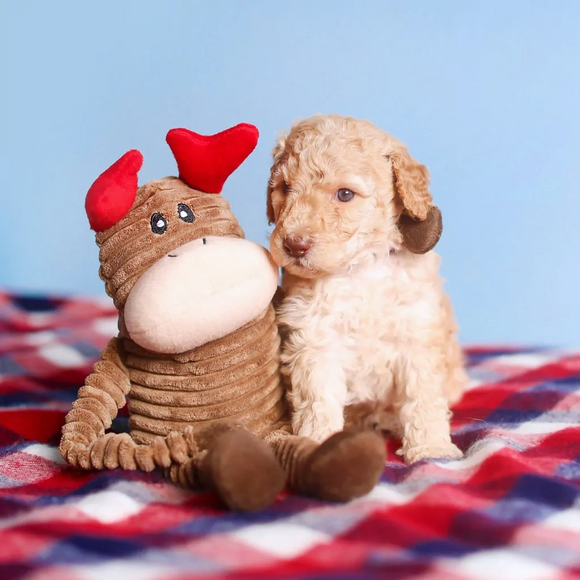 ZippyPaws Holiday Crinkle Dog Toy, Reindeer