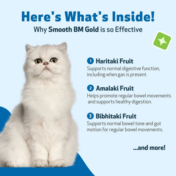 Smooth BM Gold - For Cat Constipation - cat Vitamins & Supplements 7