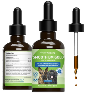 Smooth BM Gold - For Dog Constipation - 2-oz - Cat Digestive & Probiotics Supplements 1