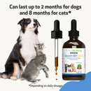 Smooth BM Gold - For Dog Constipation - Cat Digestive & Probiotics Supplements 4