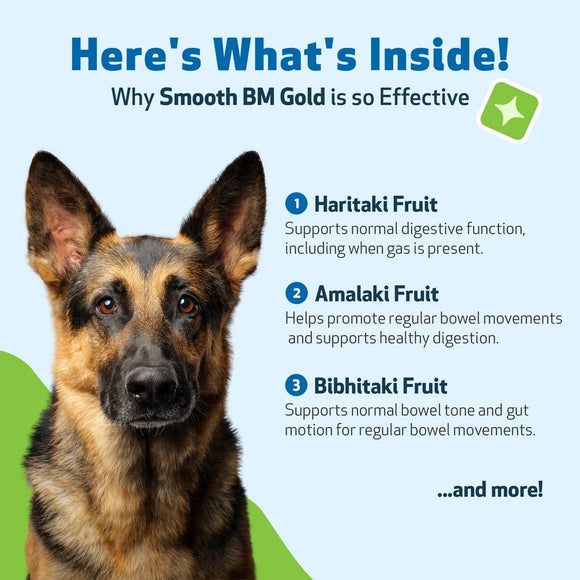 Smooth BM Gold - For Dog Constipation - Cat Digestive & Probiotics Supplements 5