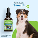 Smooth BM Gold - For Dog Constipation - Cat Digestive & Probiotics Supplements 3