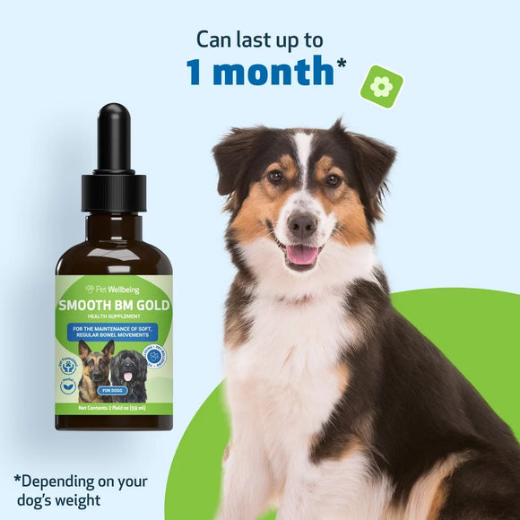 Smooth BM Gold - For Dog Constipation - Cat Digestive & Probiotics Supplements 3