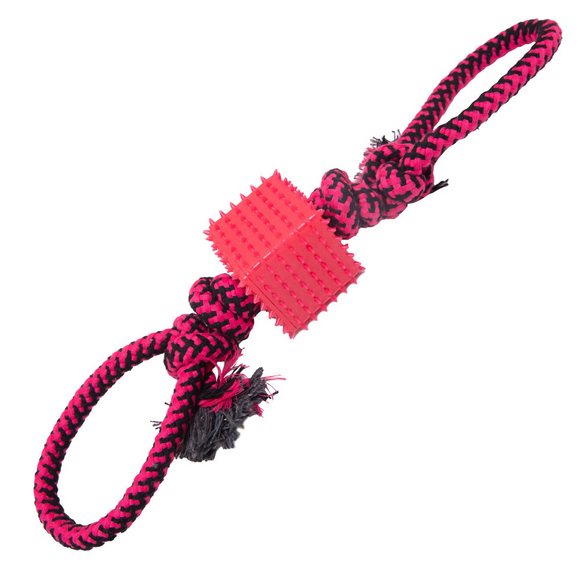 Snugarooz Baby Tug-N-Cube Tug Dog Toy