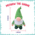 Snugarooz Meadow the Gnome Plush Dog Toy