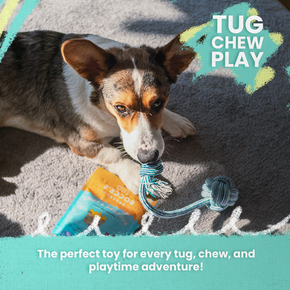 SnugArooz Puppy Fun Rope Dog Toy Assorted Colors 7’’ - Dog Toy 7