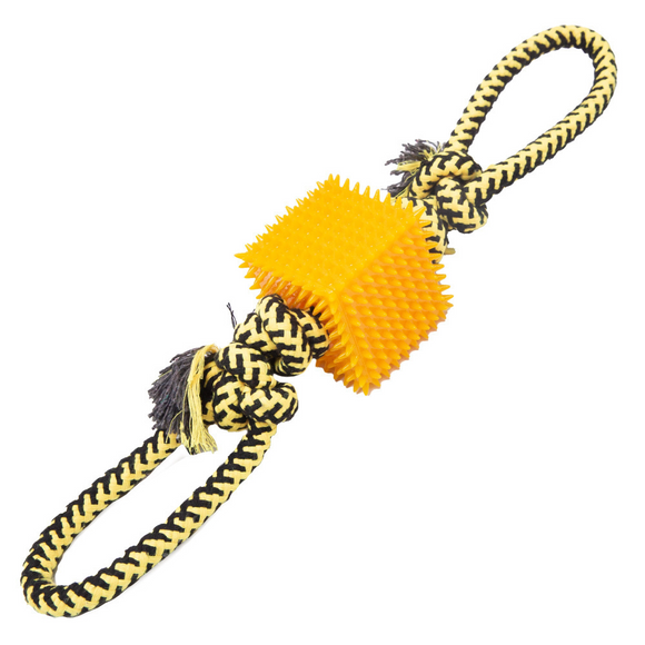 Snugarooz Tug-N-Cube Tug Dog Toy