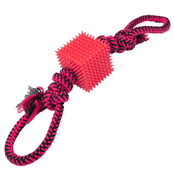 Snugarooz Tug-N-Cube Tug Dog Toy