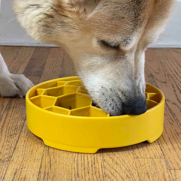 SodaPup Honeycomb Enrichment Slow Feeder eBowl for Dogs (8’’) - Pet Bowls Feeders & Waterers 4