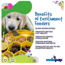 SodaPup Honeycomb Enrichment Slow Feeder eBowl for Dogs (8’’) - Pet Bowls Feeders & Waterers 3