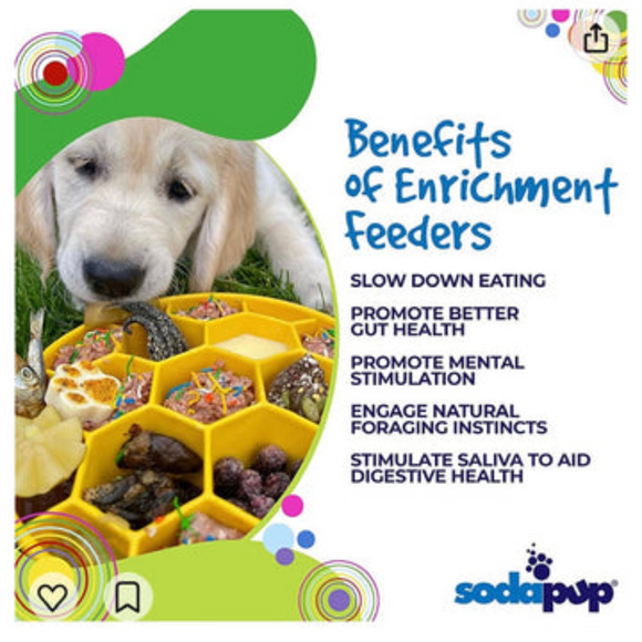 SodaPup Honeycomb Enrichment Slow Feeder eBowl for Dogs (8’’) - Pet Bowls Feeders & Waterers 3