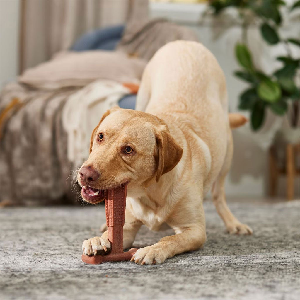 Bam-Bone Plus Dog Chew Beef 4 in