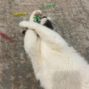 Ethical Colorful Springs Thin 10 pack Toy For Cat