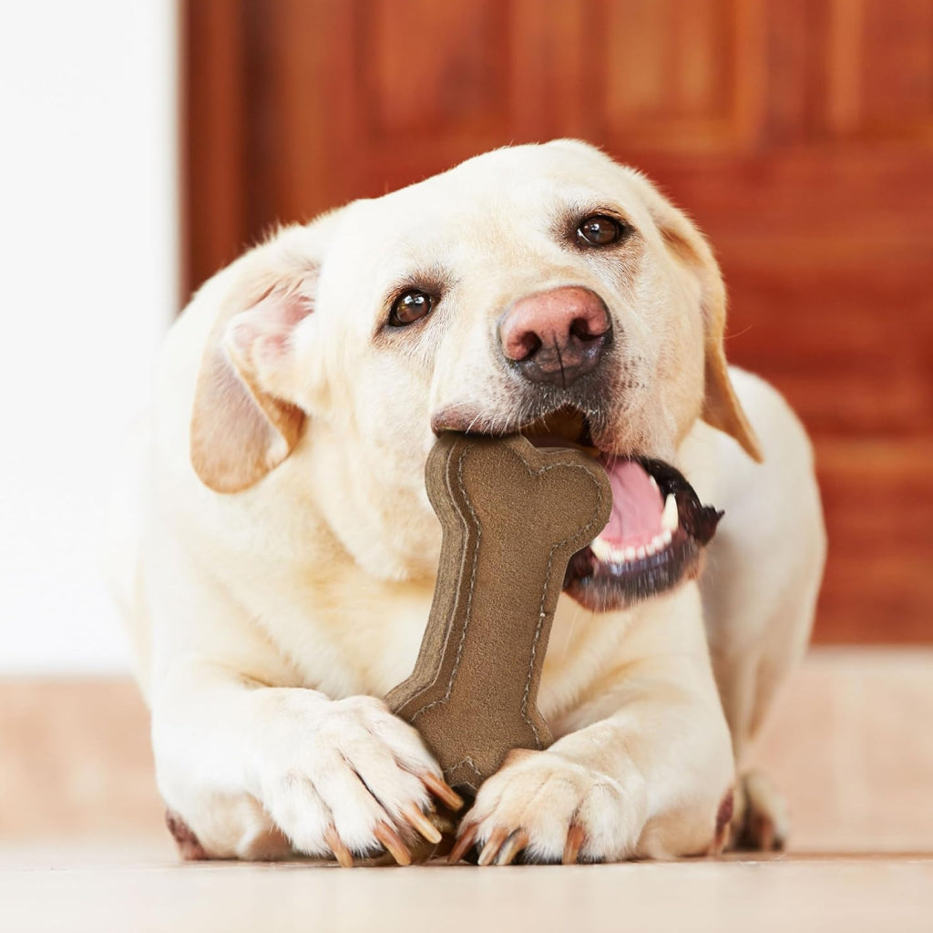 Spot Dura Fused Leather Chunky Bone Dog Toy