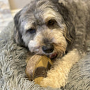 Spot Dura-Fused Chunkies Leather Racoon Chew Toy For Dogs