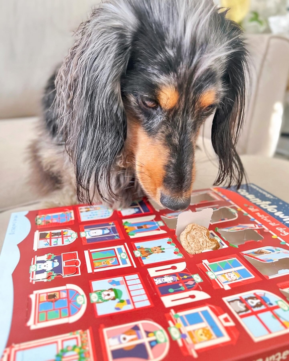 Spunky Pup Holiday 25-Day Advent Calender - 25 Days of Dog Treats - Dog Treats 4