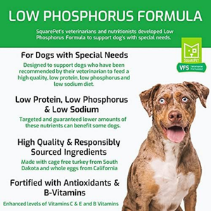 SquarePet VFS Low Phosphorus Formula Dry Dog Food - Dog Food 2