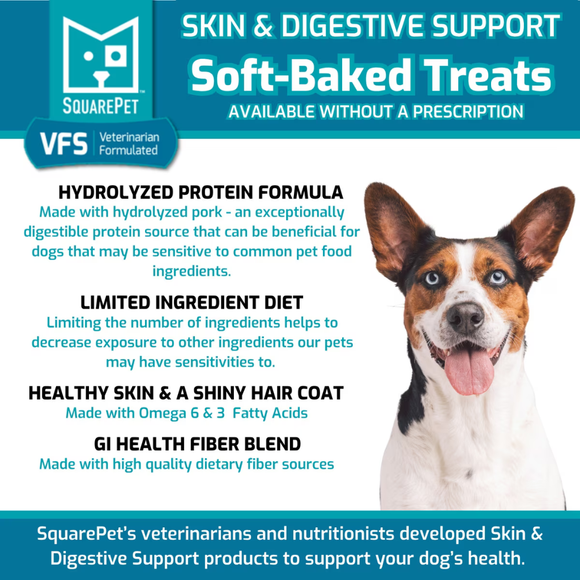 SquarePet VFS Skin & Digestion Support Soft Baked Dog Treats (6 oz) - Dog Treats 2