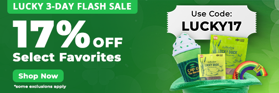 St patricks sale 570x190