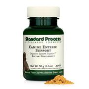 standard process canine enteric support