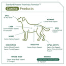 Standard Process Canine Immune System Support (30 g)