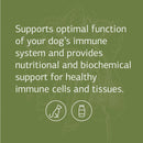 standard process canine immune support is made with ashwagandha for dogs