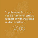 standard process feline cardiac support
