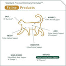 standard process feline immune system support