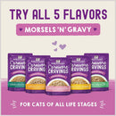 Stella & Chewy's Carnivore Cravings cat food packages on a pink background with text promoting all 5 flavors.