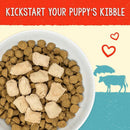 Stella & Chewy's Perfectly Beef & Salmon Meal Mixers Freeze-Dried Raw Topper For Puppies (18 oz)