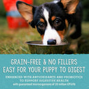 Stella & Chewy's Perfectly Beef & Salmon Meal Mixers Freeze-Dried Raw Topper For Puppies (18 oz)
