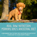 Stella & Chewy's Perfectly Puppy Beef & Salmon Meal Mixers Freeze-Dried Raw Topper For Dog (3.5 oz)