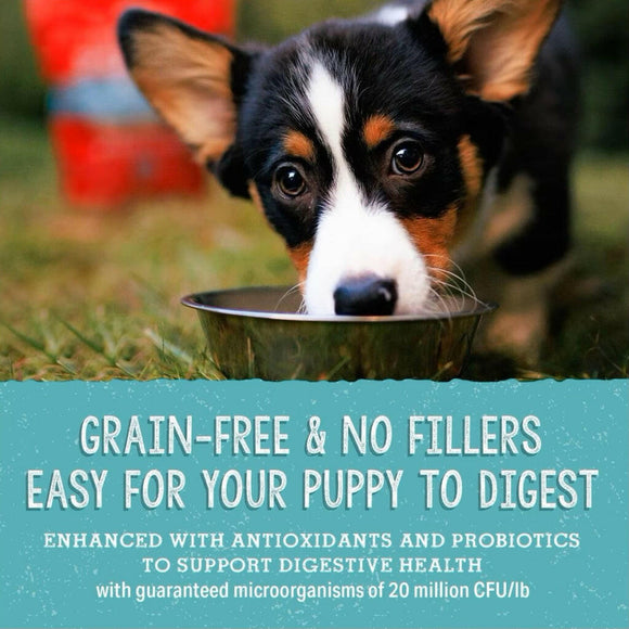 Stella & Chewy's Perfectly Puppy Beef & Salmon Meal Mixers Freeze-Dried Raw Topper For Dog (3.5 oz)