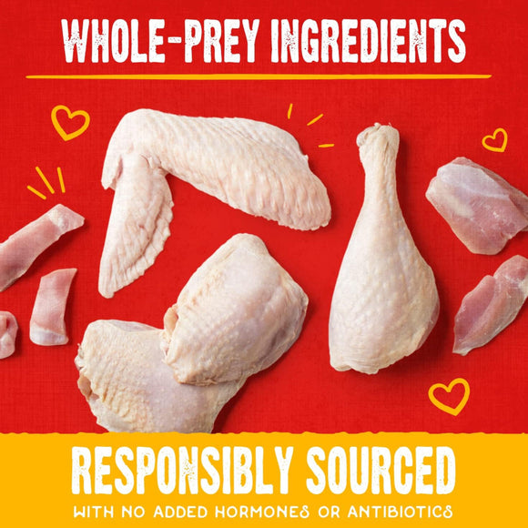 Stella & Chewy's Raw Coated Biscuits Cage-Free Chicken Recipe Crunchy Dog Treats (9 oz)