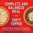 Stella & Chewy’s Shredrs Recipe in Broth Meal or Topper Wet Dog Food 2.8-oz case of 24 - Dog Food Toppers & Mixers 29