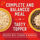 Stella & Chewy’s Shredrs Recipe in Broth Meal or Topper Wet Dog Food 2.8-oz case of 24 - Dog Food Toppers & Mixers 25