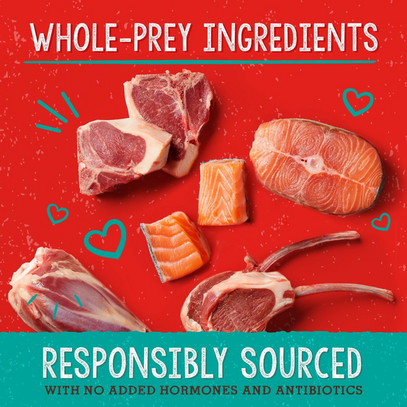Stella & Chewy’s Stella’s Solutions Skin & Coat Boost Lamb & Wild-Caught Salmon Freeze-Dried Dinner Morsels For Dogs