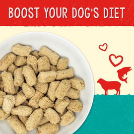 Stella & Chewy’s Stella’s Solutions Skin & Coat Boost Lamb & Wild-Caught Salmon Freeze-Dried Dinner Morsels For Dogs