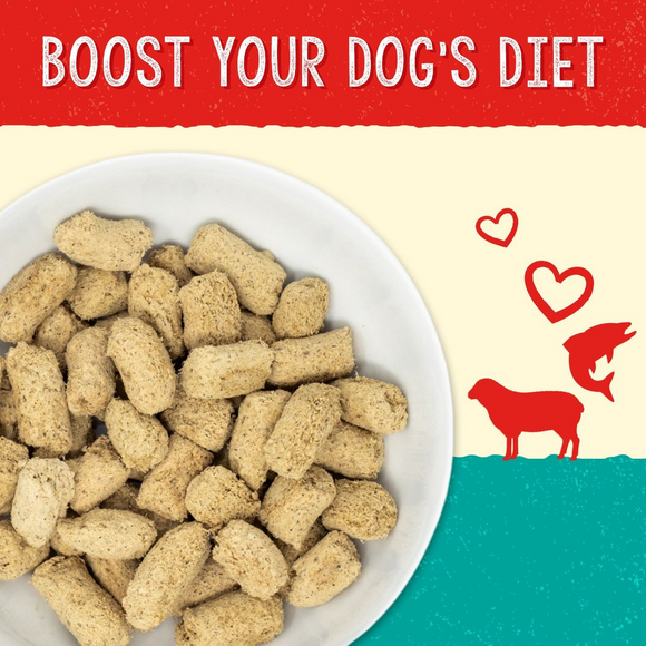 Stella & Chewy’s Stella’s Solutions Skin & Coat Boost Lamb & Wild-Caught Salmon Freeze-Dried Dinner Morsels For Dogs