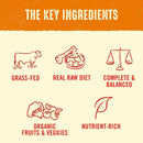 Stella & Chewy's Stella's Super Beef Dinner Patties Freeze-Dried Raw Food For Dogs (5.5 oz)