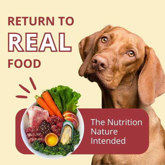 Steve’s Real Food Beef Recipe Freeze-Dried Pet Food for Cats & Dogs (1.25 lb) - Cat Food 3