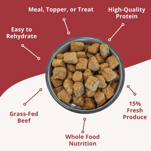 Steve’s Real Food Beef Recipe Freeze-Dried Pet Food for Cats & Dogs (1.25 lb) - Cat Food 2
