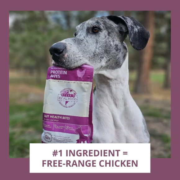 Steve’s Real Food Chicken Protein Bites Gut Boosting Bites for Cats & Dogs (4 oz) - Cat Food 5