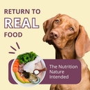 Steve’s Real Food Chicken Recipe Freeze-Dried Pet Food for Cats & Dogs (1.25 lb) - Freeze-Dried Dog & Cat Food 7