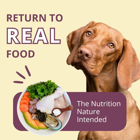 Steve’s Real Food Chicken Recipe Freeze-Dried Pet Food for Cats & Dogs (1.25 lb) - Freeze-Dried Dog & Cat Food 7