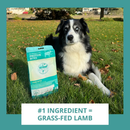 Steve’s Real Food Lamb Protein Bites Gut Boosting Bites for Cats & Dogs (4 oz) - Cat Food 5
