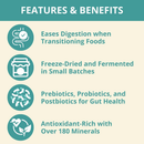 Steve’s Real Food Lamb Protein Bites Gut Boosting Bites for Cats & Dogs (4 oz) - Cat Food 3
